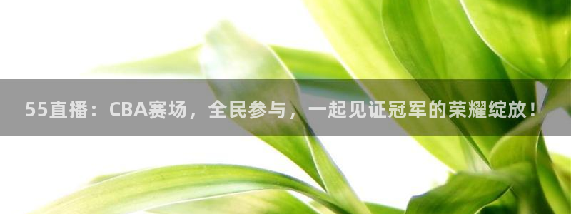 斗球直播雨燕：55直播：CBA赛场，全民参与，一起见证冠军的荣耀绽放！