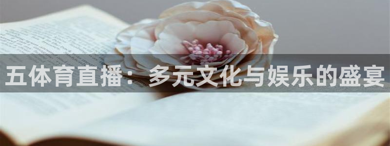 斗球直播nba免费观看：五体育直播：多元文化与娱乐的盛宴