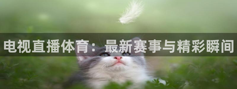 斗球直播app下载ios：电视直播体育：最新赛事与精彩瞬间