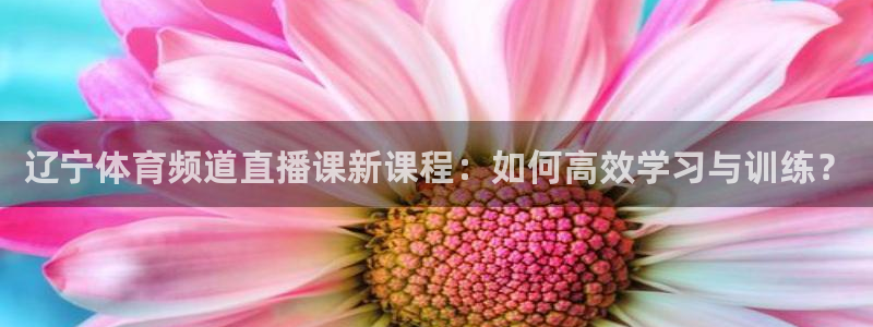 斗球直播高清免费入口：辽宁体育频道直播课新课程：如何高效学习与训练？
