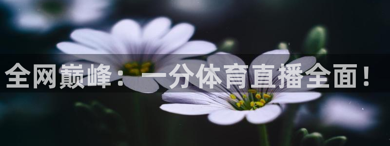 斗球直播雨燕：全网巅峰：一分体育直播全面！